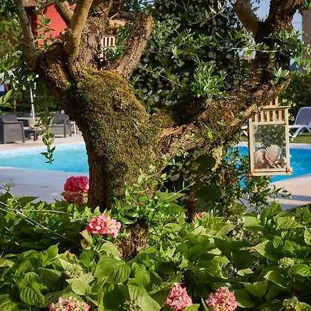 Hotel Villaguarda Prosecco Area 3*